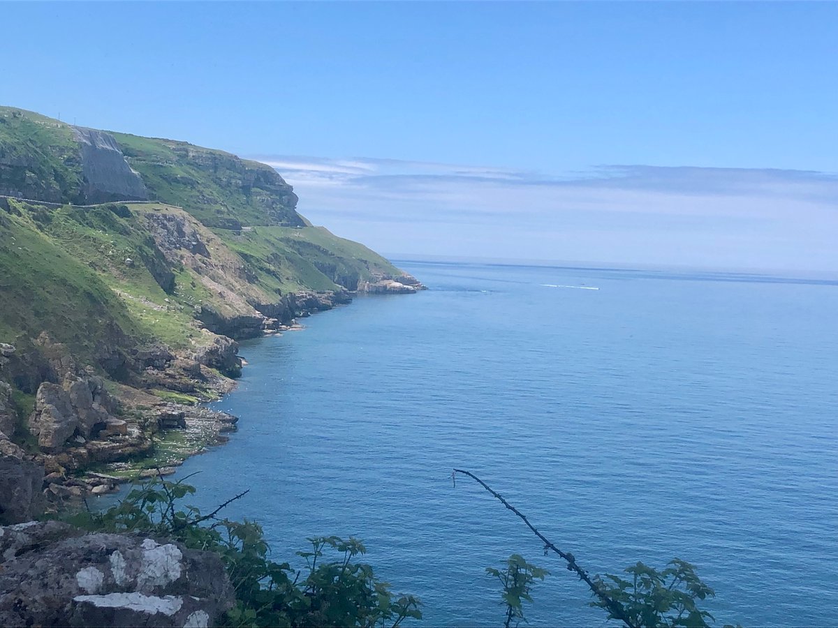 DemetChristina's tweet photo. Beautiful blue..#serene #stillness🧘🏻‍♀️ https://t.co/bFZhFKX4ty