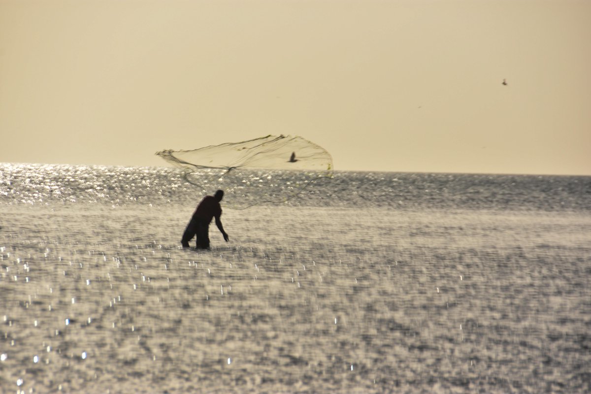 Ocaso de pesca en #PuntaRedonda #Margarita #RevistaRUTAS Foto: <a href="/luisnube/">Stephan Luis Nube Я. 🇻🇪 Gab/Parler➡️ @luisnube</a>
