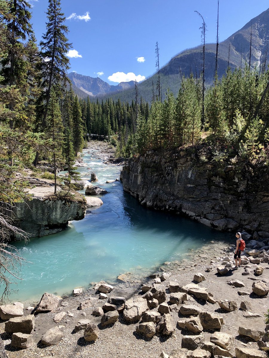 Marble Canyon, looking amazing. 

#MarbleCanyon #KootenayNationalPark #BritishColumbia