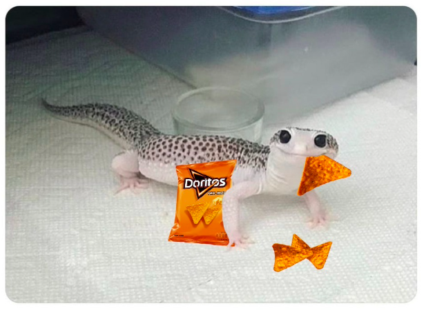 doritosES's tweet photo. @malacarasev PA CHUPARSE LOS 20 DEDO QUE TIENE CABESA https://t.co/epAwcOUEHc
