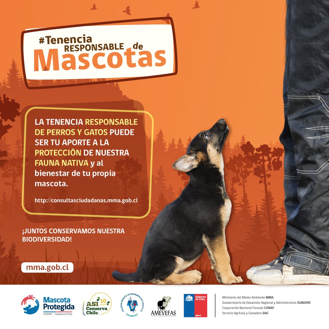 ASIConservaChile tweet media