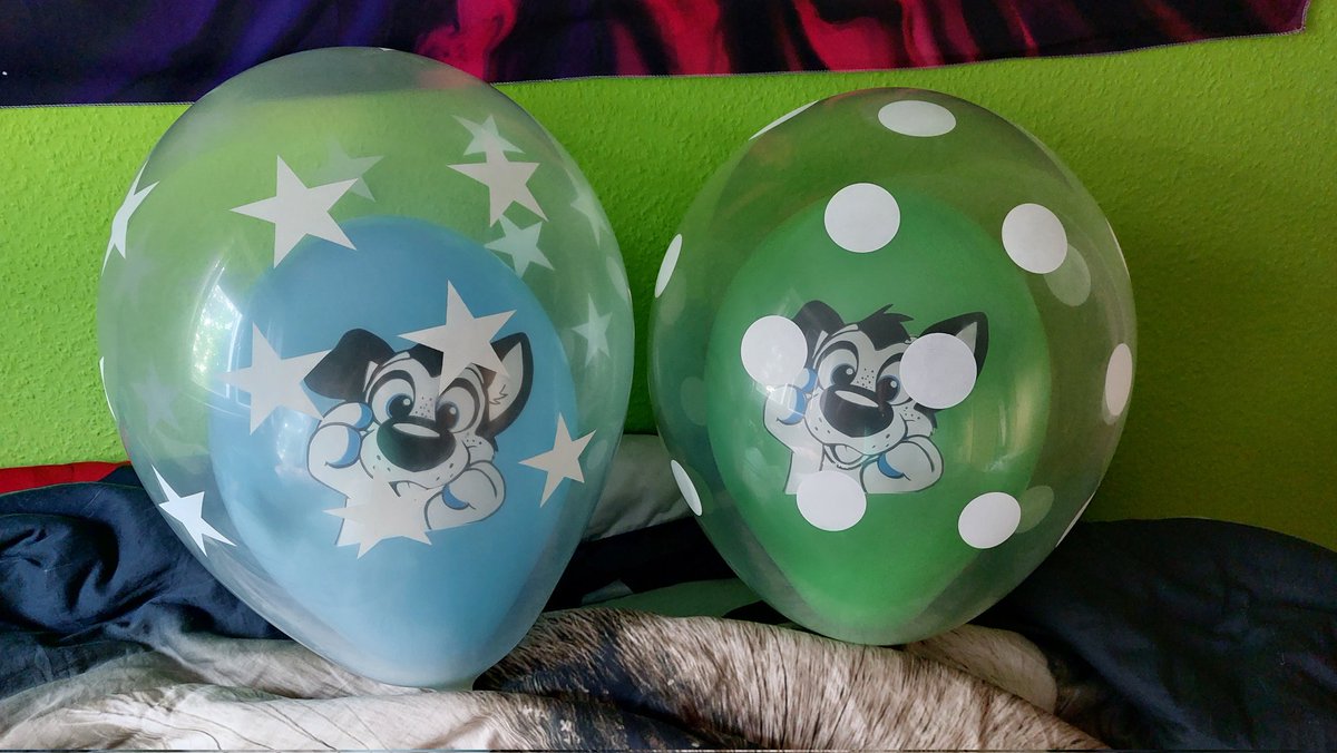 Coco Hyper Squeaky Pupper Atama Cocofosky Twitter