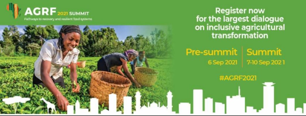 SitezeuG's tweet image. Have you registered for the biggest agriculture and food systems convention, #AGRF2021 yet? 

Register now bit.ly/3xVWZp2  and be part of the conversation. #PathwaysToRecovery  
@TheAGRF 
@GcuCsayn 
@ntiokam