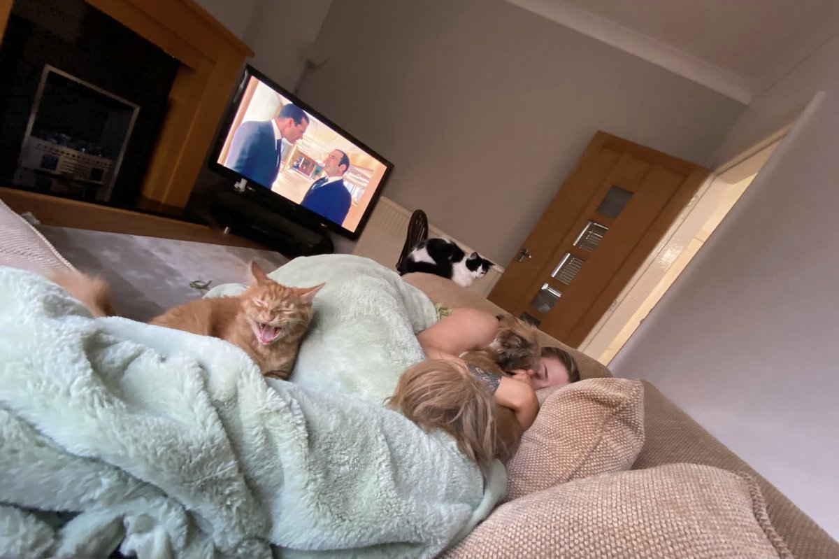 daniellejohns12's tweet photo. Pt. 2 of trying to nap when you have pets... Billie clearly finds it amusing 🙄 https://t.co/Itde9Ijy2L