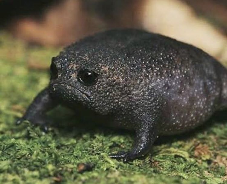 QuickspaceG's tweet image. #its5oclocksomewhere