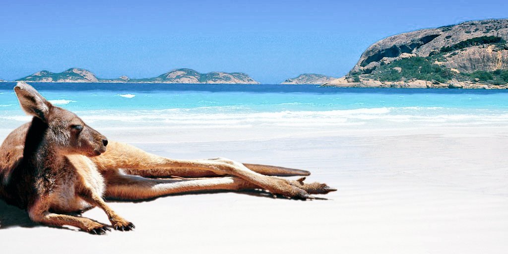 SOreilles's tweet photo. On est pas les seules à faire la sirène...
#chou #acroquer #Plaisir
#Australie #plage #soleil https://t.co/Sk3W5XIQ2n