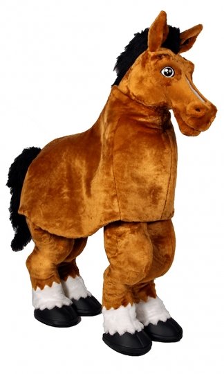 halabeme's tweet photo. Englands striker revealed for next years #SoccerAid https://t.co/F82o6pBMIy