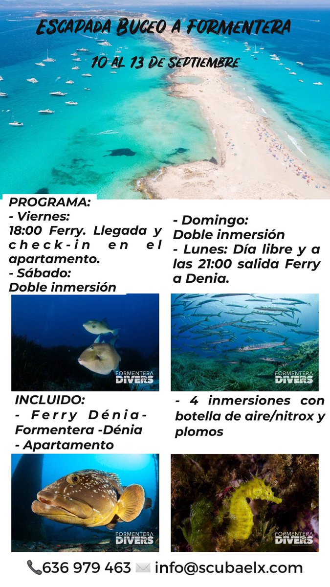 Buceo Tabarca tweet media