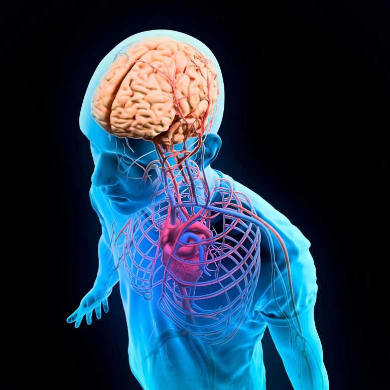 techscigyan's tweet image. TechnoScience: Gut and Heart Signals Affect How We See Ourselves:... techscigyan.blogspot.com/2021/09/gut-an…
