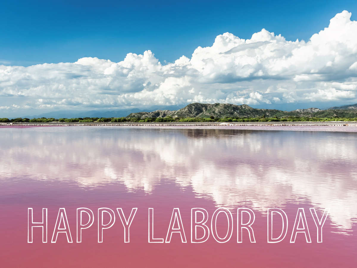 Michael Jones tweet media