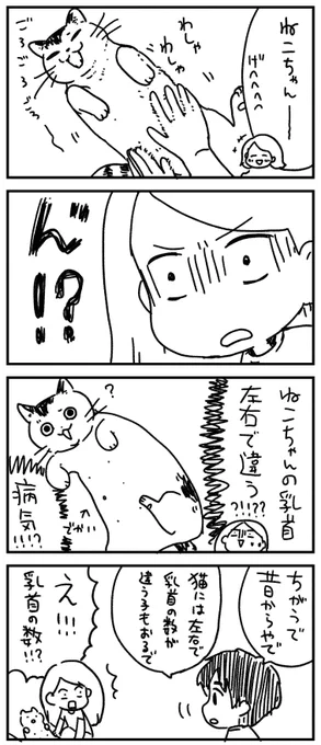 【4コマ】猫の乳首 