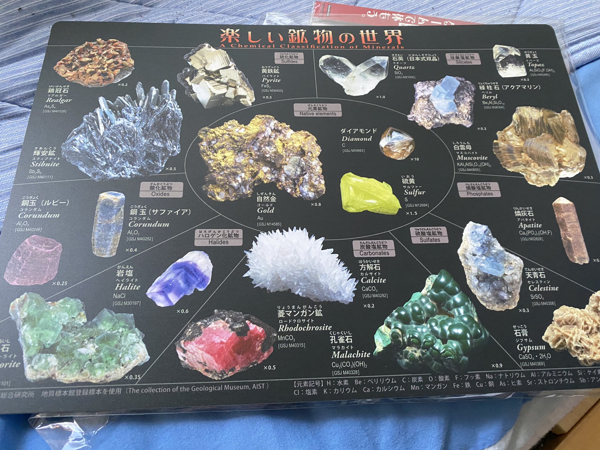 突撃レーザー 東北ずん子のクリアファイルと公式同人誌 東北ずん子はエロいよね 白目 ずんだホライずん面白かったね 白目 T Co Eovp0gn3v9 Twitter