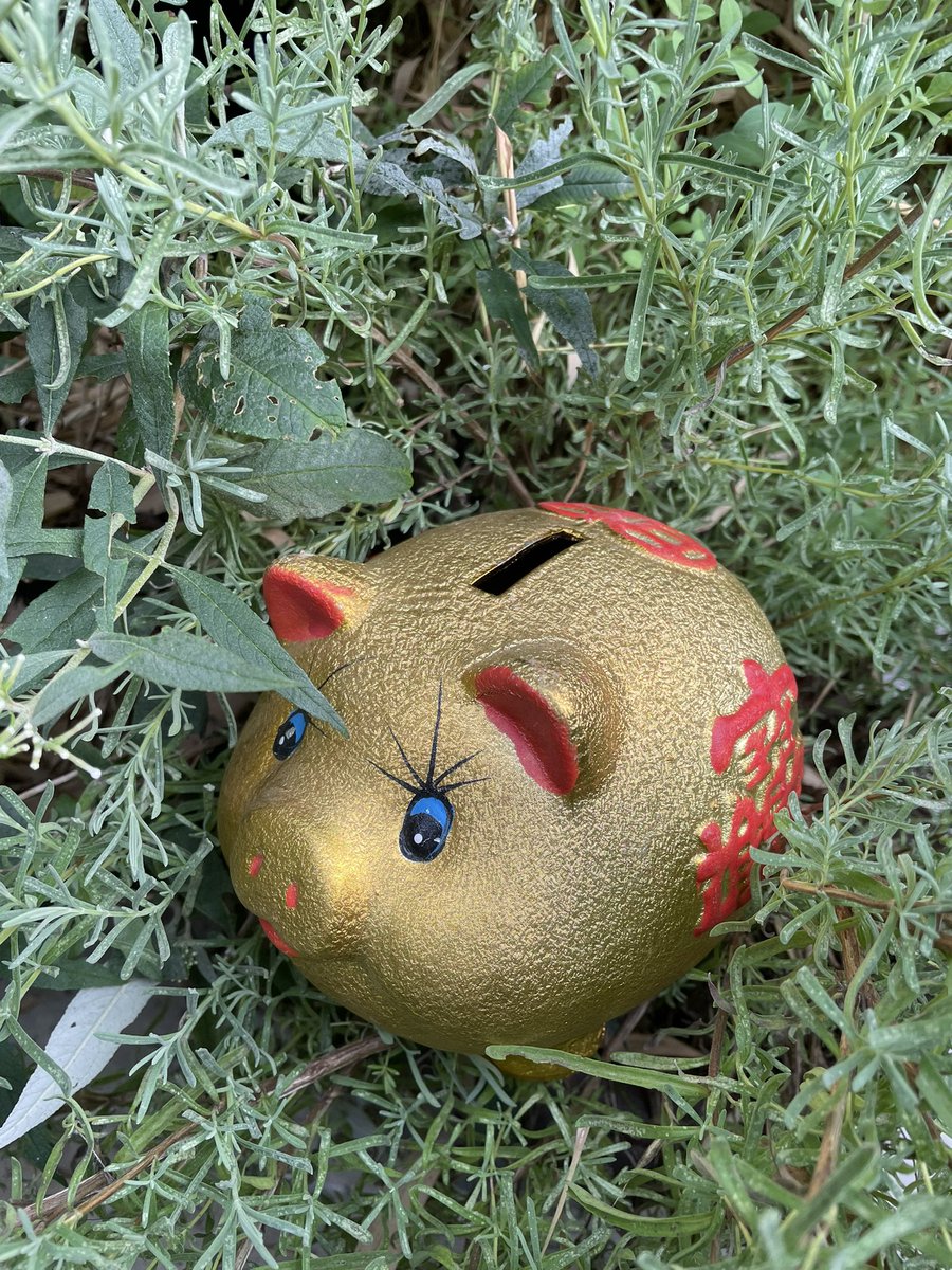 stichtingkolewa's tweet photo. Alvast een #voorproefje van de #spaaraktie die we het laatste deel van het #jaar gaan #starten. Koop ad €2 een #spaarvarken #spaarmee vier je #verjaardag #collecteer en maak ons #blij in #december #opbrengst #donatie #schisis en #dove #kinderen #Indonesië #charity #inboxmij #ngo https://t.co/dxodAn3ln5
