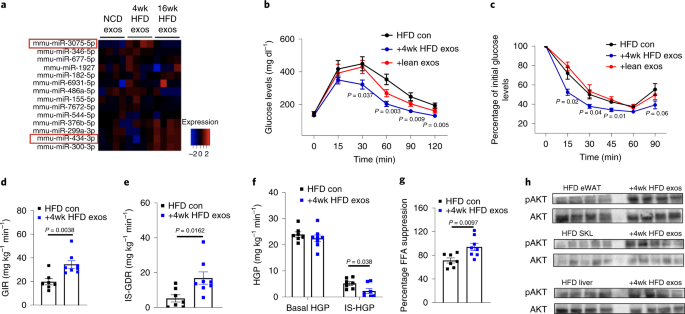 Nature on Twitter: "Online now! Hepatocyte-derived exosomes from early obese mice promote insulin sensitivity miR-3075 https://t.co/LHD7RkxMO4… https://t.co/iAmyjv1SKk"