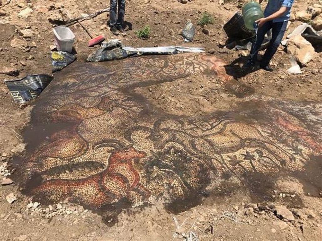 tarihiiimerak's tweet photo. Adıyaman'da tarlada çalışan köylüler tarafından bulunan Roma dönemine ait 1600 yıllık mozaik. https://t.co/iqqqF4LGSf