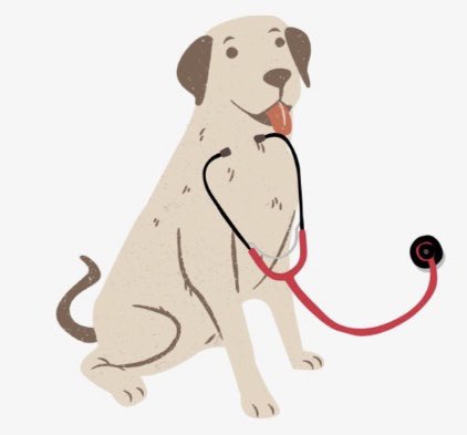 be kind. to everyone. and don’t forget. yourself.