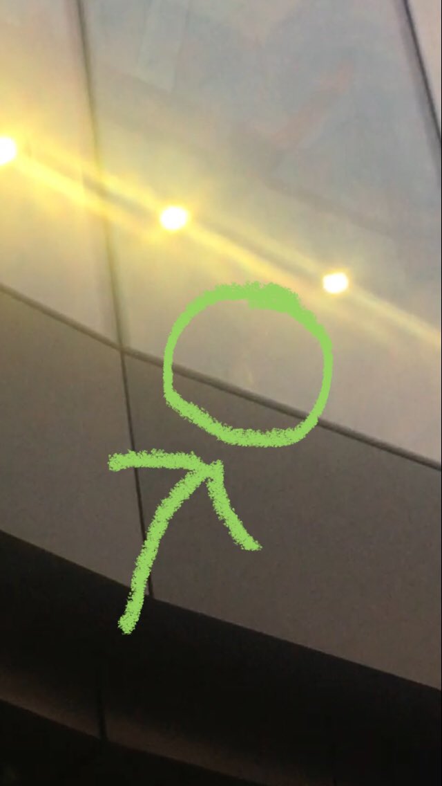 CalgaryResponse's tweet image. Would you like to go on a rescue with us?

Last night we tweeted about a pigeon seen flying a high rate of speed (@CalgaryPolice would not condone this!) before meeting a +15 (ped way) head on.  

#WindowStrike #Pigeons #BirdFriendlyCity