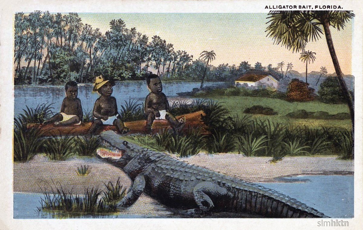 nadidefotograf's tweet photo. 1919 yılına kadar Florida'da timsah avcıları yem olarak siyahi bebekleri kullanıyorlardı. https://t.co/artYYKj1iE