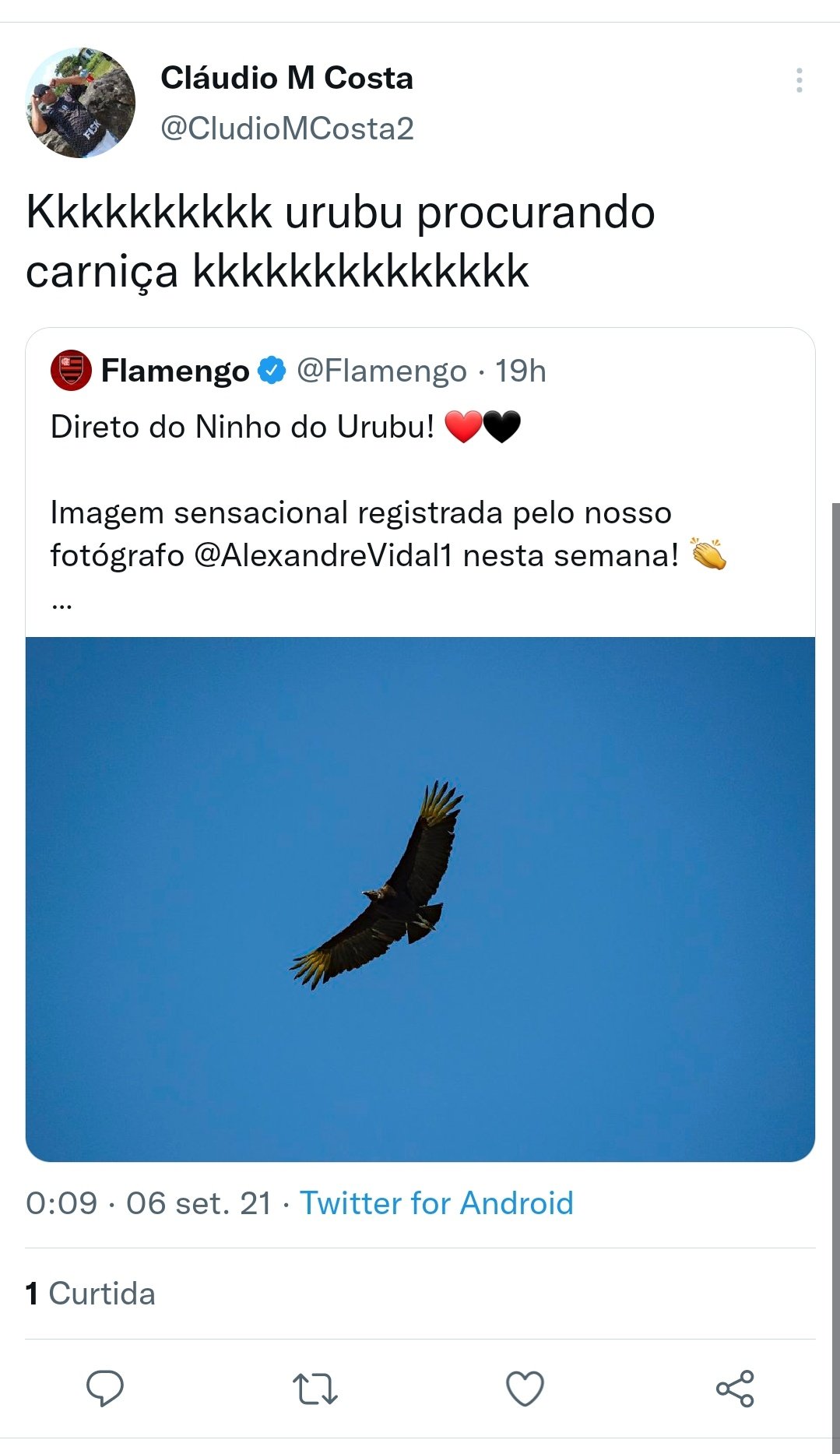 RECIBO_CRF on X: Errado é o BRB Fonte: vozes #recibo #Flamengo