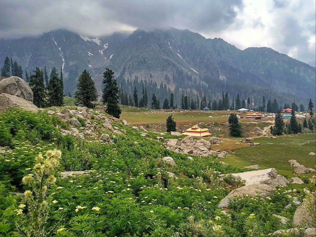 On the way to Katora lake
#kumratvalley #kpktourism #mobilephotography
#travel #travelblogger #nature #beautiful #photography #naturephotography #travelphotography #lake #landscape #adventure #meadow #mountains #hiking #trekking #naturelover #forest #river #waterfall
#scenery