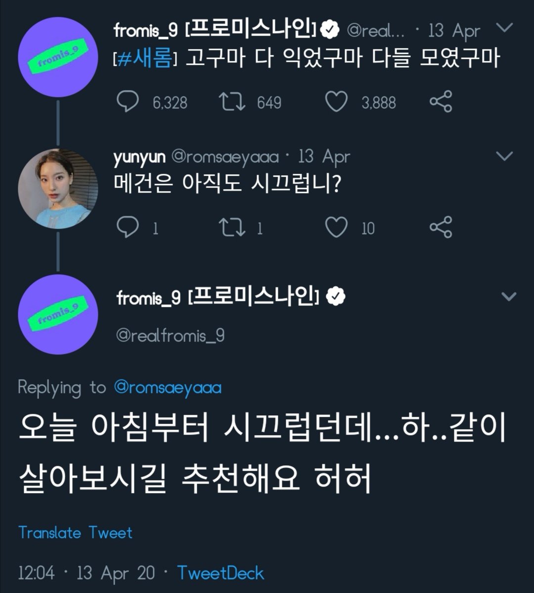 ハリス tweet media