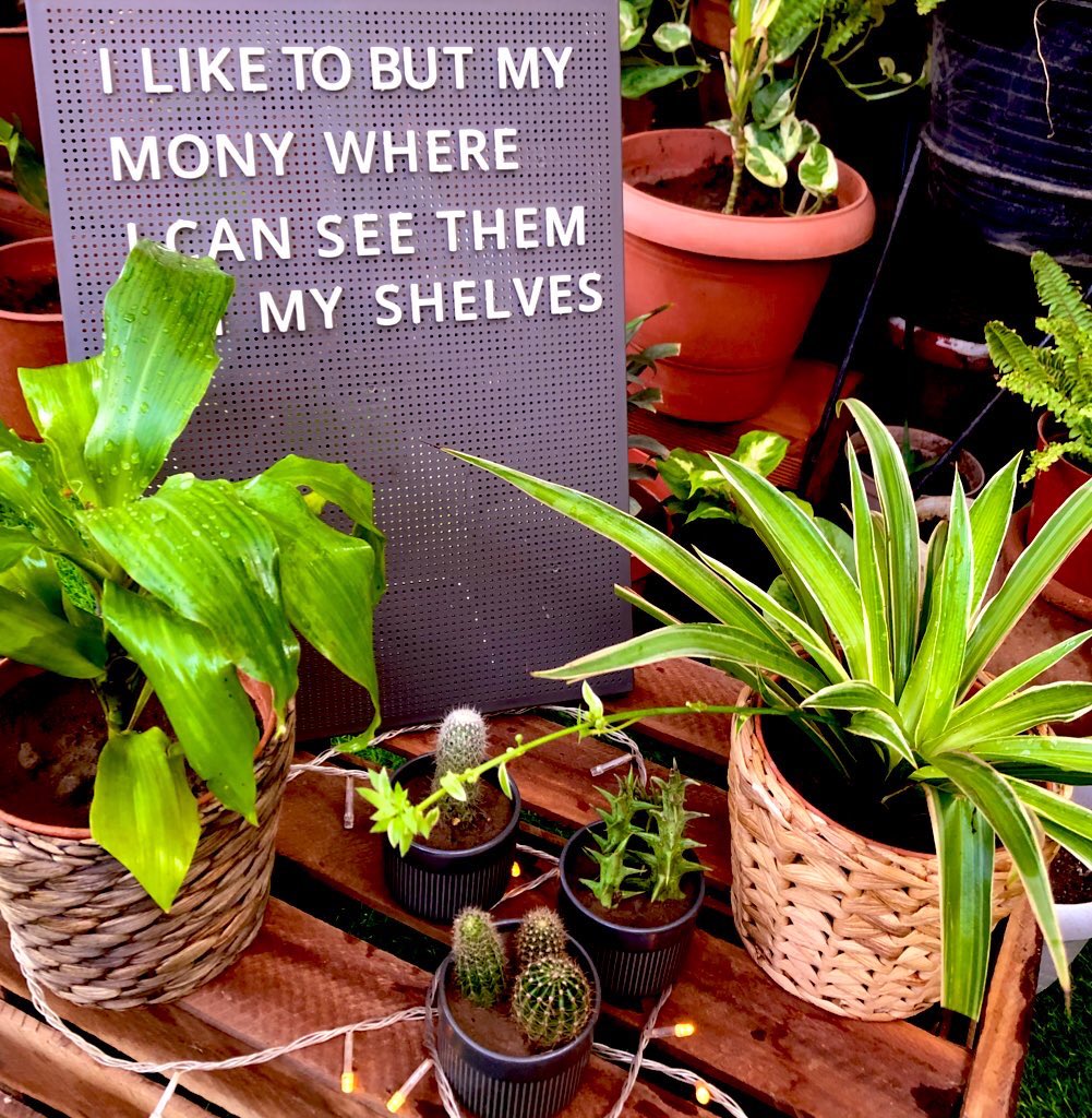 I’d still hug  u even if u were a CACTUS

#cactus #PositiveVibesOnly #gardening #friends #green #gifts #indoorplants #officeplants