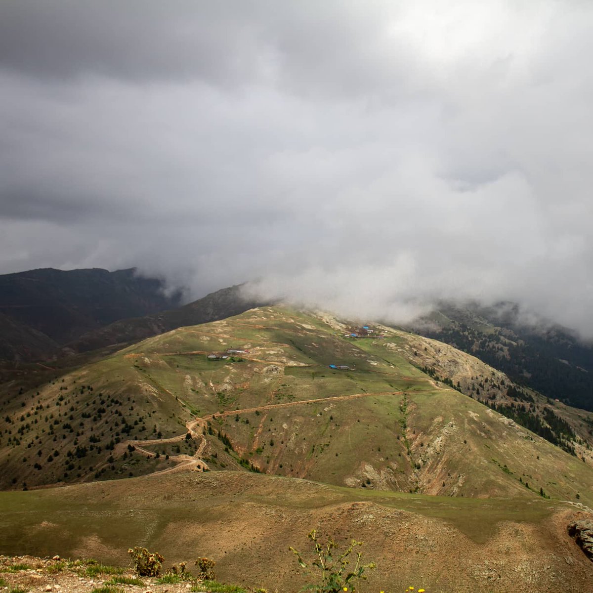 dolunayadam's tweet photo. En sevdiğim manzaralar ⛰️🐑💚 https://t.co/wiEoHRxULq