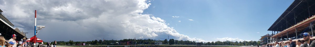 Black and blue at #Saratoga.