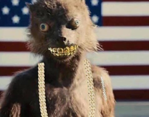 madking50's tweet image. No one, i repeat, No one..
Absolutely no one❌
Wizzo tano nane: