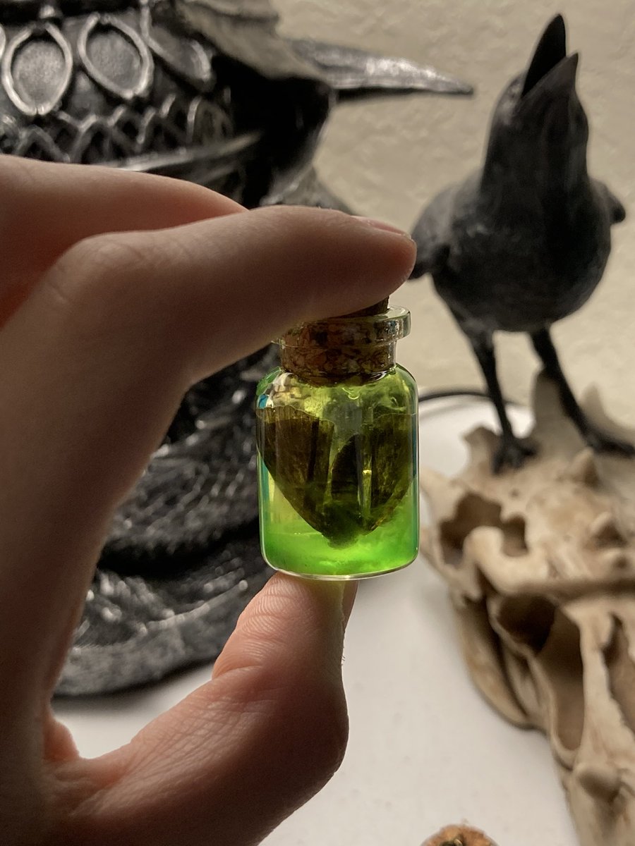 nex_jin's tweet photo. I made things!!! This is my first try at making wet specimens, so I’ve started with insects in jars!
They came out alright I think. I tried putting some color in one, but I think it was a little much. My third one by far came out the best!
What do you guys think?
#wetspecimens https://t.co/ECrmgOpTfl