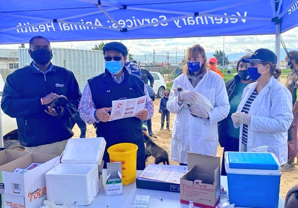 ivan2meyer's tweet photo. Vaccination of dogs and cats against rabies done today in Klapmuts, Stellenbosch @WCGovAgri. Thank you to our vets and the community for working together to protect our pets.   @1SAVC @FarmersWeeklySA @AgriWesKaap @StellMun @WesternCapeGov #ForTheLoveOfAgriculture https://t.co/bDyhxQvpJs