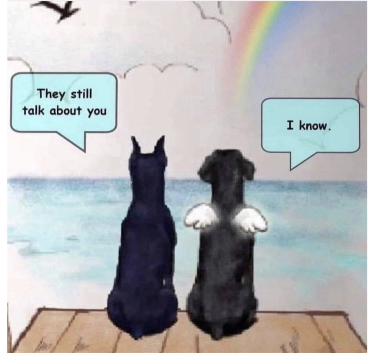 telephonedoctor's tweet photo. @DanaPerino This helped me when we lost our Skippy. Hope it helps a little https://t.co/0mPEN7wbnp