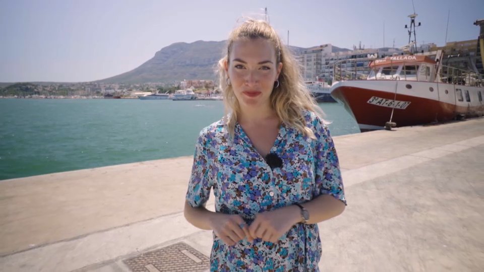 ESTRENEM temporada de <a href="/terravivaapunt/">Terra Viva</a> amb <a href="/alex_blanquer/">Àlex Blanquer 📺 Presentadora</a>! Hui, es proposarà el repte d'aprendre les diferents professions que s'exerceixen al port de Dénia. Ho aconseguirà?
🍃Hu Zhao descobrirà que no només a la Xina hi ha boscos de bambú. 
🕗HUI, 20:00 ▶️bit.ly/TV_EnDirecte