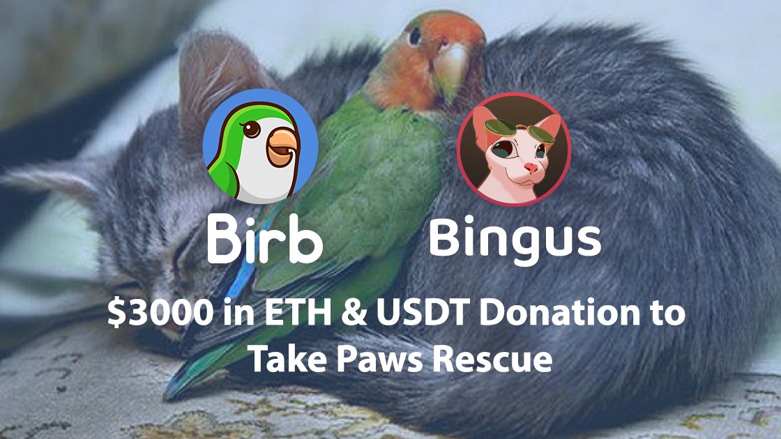 BIRB tweet media