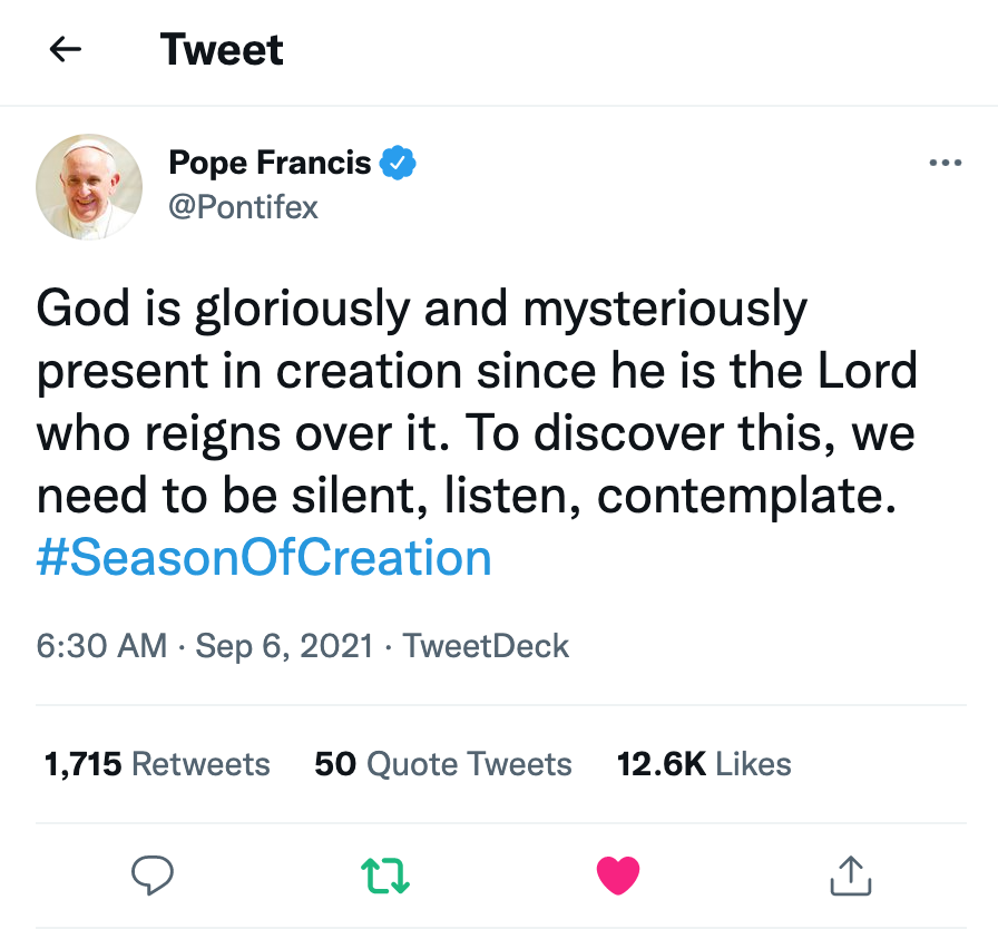 LaudatoSiMvmt's tweet photo. 💚 To understand why/how God is present in Creation we need to ask for the grace, pause and listen. It's not easy, that's why we're in this together! #EcoConversion #EcoSpirituality #LaudatoSi' #SeasonOfCreationhttps://twitter.com/Pontifex/status/1434841309282377731 https://t.co/J17a8ALIXT