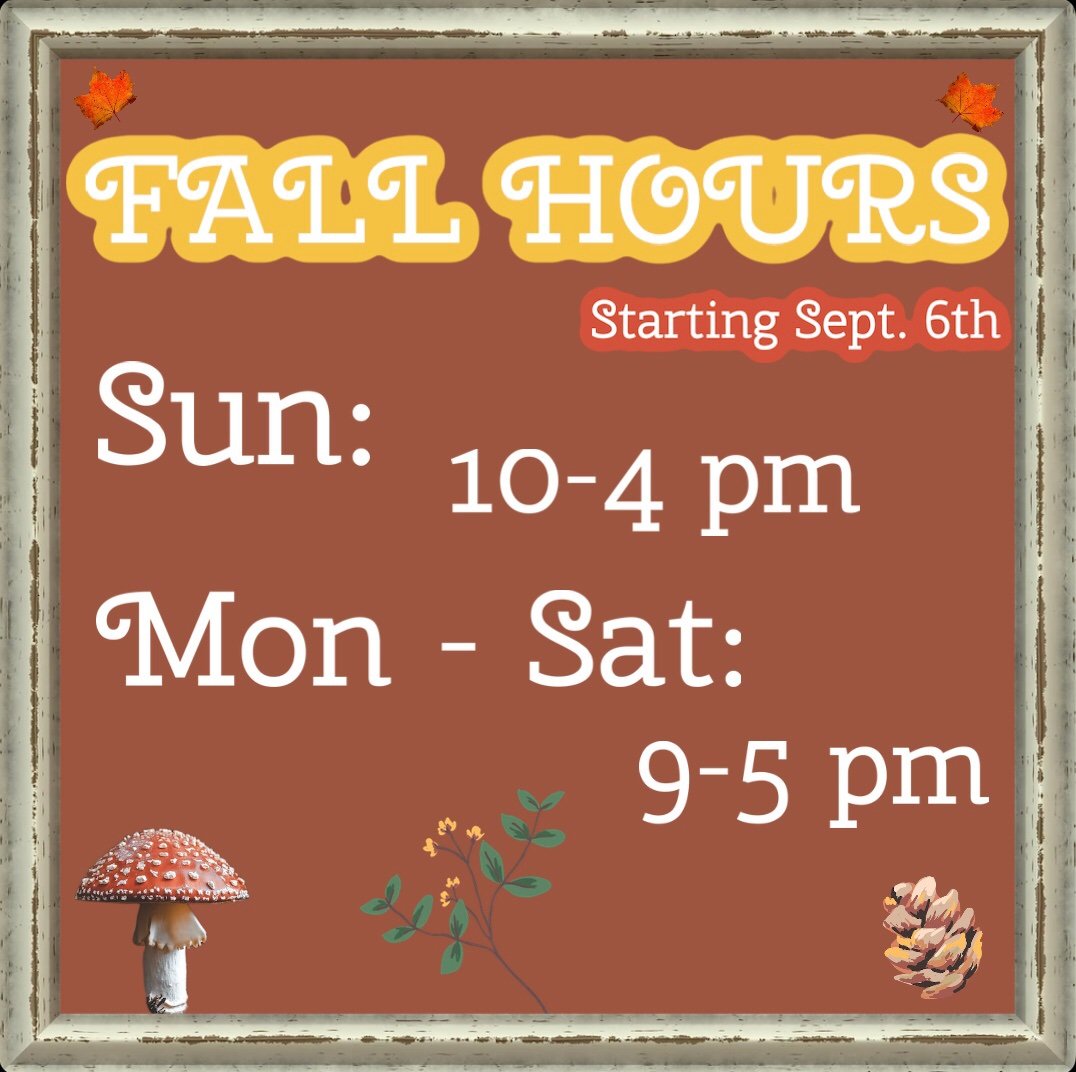 Beagle & Wolf Books & Bindery tweet media