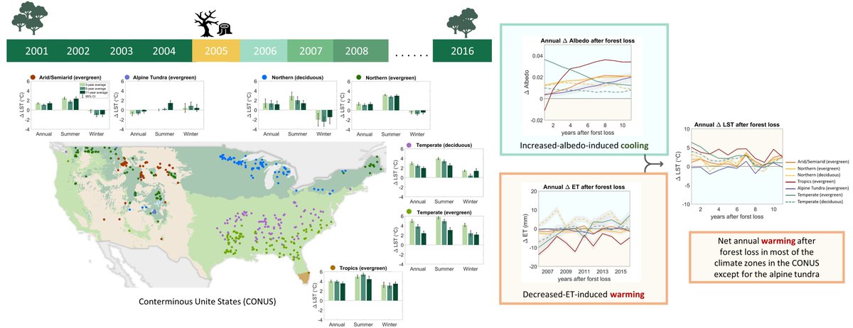 Check out our latest @STOTEN_journal paper: Impacts of forest loss on local climate across the conterminous United States: Evidence from satellite time-series observations. #ForestLoss #LandSurfaceTemperature authors.elsevier.com/a/1dh7EB8ccq%7…