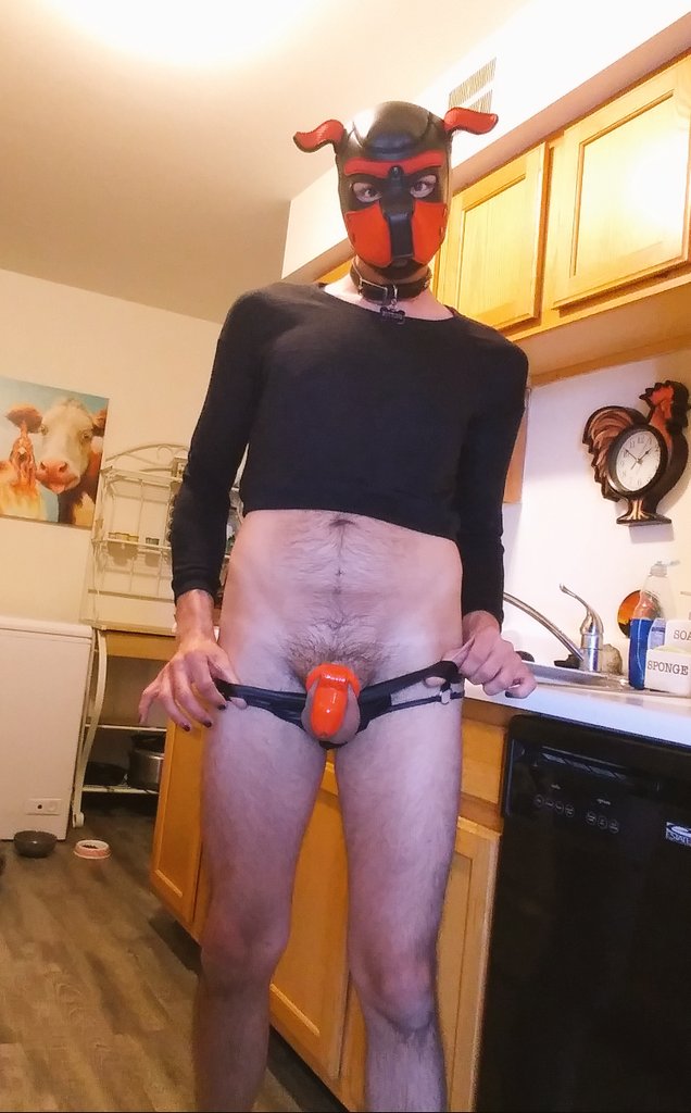 2 pic. I did not finish my chores yesterday, bad puppy... So I'm still locked up...???
#puppyplaycommunity