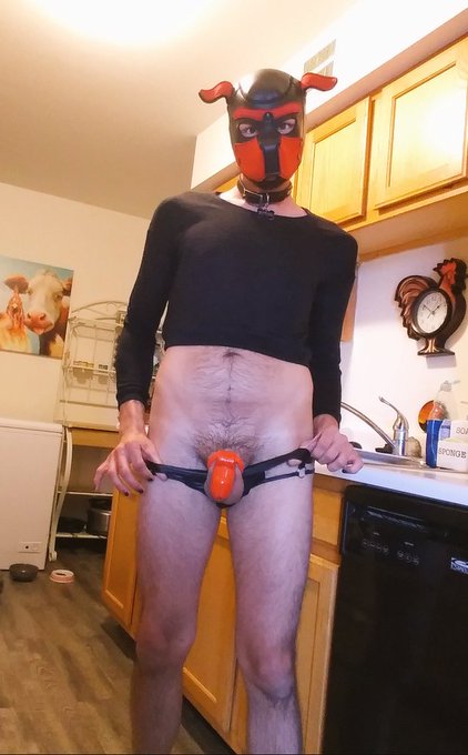 2 pic. I did not finish my chores yesterday, bad puppy... So I'm still locked up...???
#puppyplaycommunity