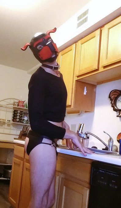 1 pic. I did not finish my chores yesterday, bad puppy... So I'm still locked up...???
#puppyplaycommunity