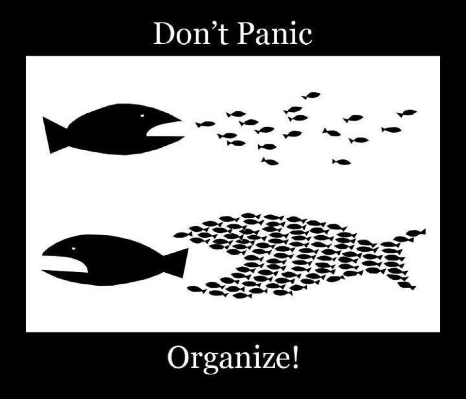JavinReid's tweet photo. Happy #LaborDay everyone! Remember: don’t panic, organize! #union #sagaftra #unionstrong #labordayweekend #actorslife #blacksmith #la #hollywood #calabasas #lifestyle https://t.co/h7ZFUaHDsW