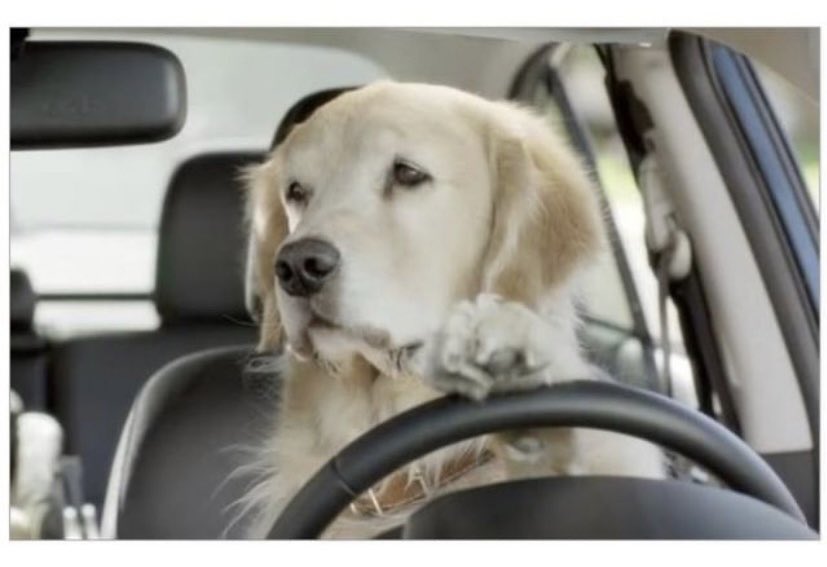 Bokete厳選 面白画像 Heisei Kunnkunn Twitter