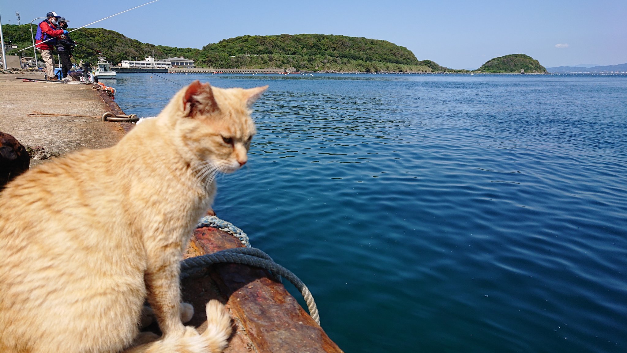 相ノ島 Twitter Search Twitter