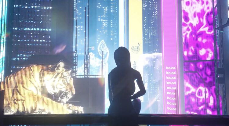 Jturtle22 tweet media