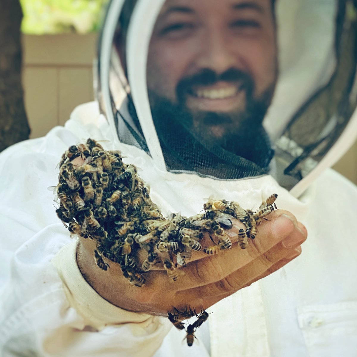Meet the Beekeeper - <a href="/astorapiaries/">Astor Apiaries, Inc</a> 

Nick Hoefly, started Astor Apiaries w/ his wife Ashley after his hobby grew into a business. They sell local honey &amp; take care of 60+ hives around NYC.

Come meet Nick &amp; Ashley at NYC Honey Fest this Sunday, Sep 12th. nychoneyweek.org