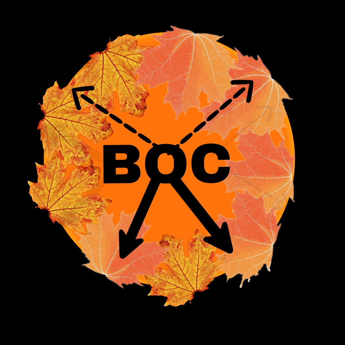 sportsandmarbleaddict tweet media