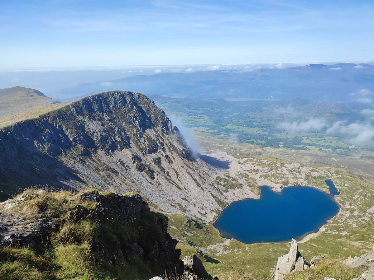 Joni Collinge tweet media