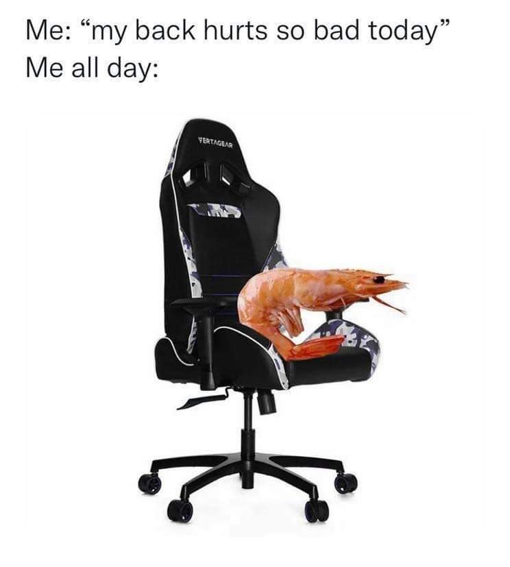 ThePoorDolphin's tweet photo. Me everyday https://t.co/YeV5u5uJfo