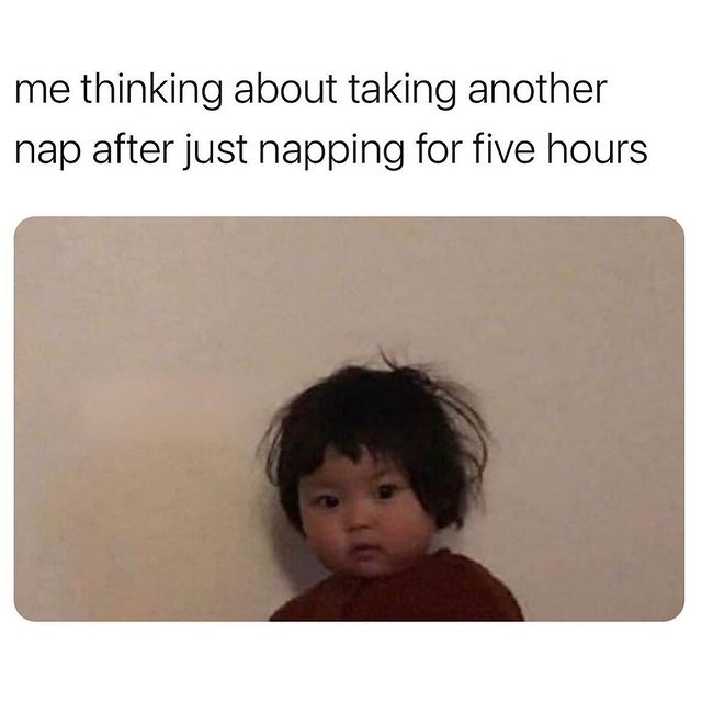 MyThrpstSays's tweet photo. Napping is a skill right? Right. https://t.co/CmamJe9VEc