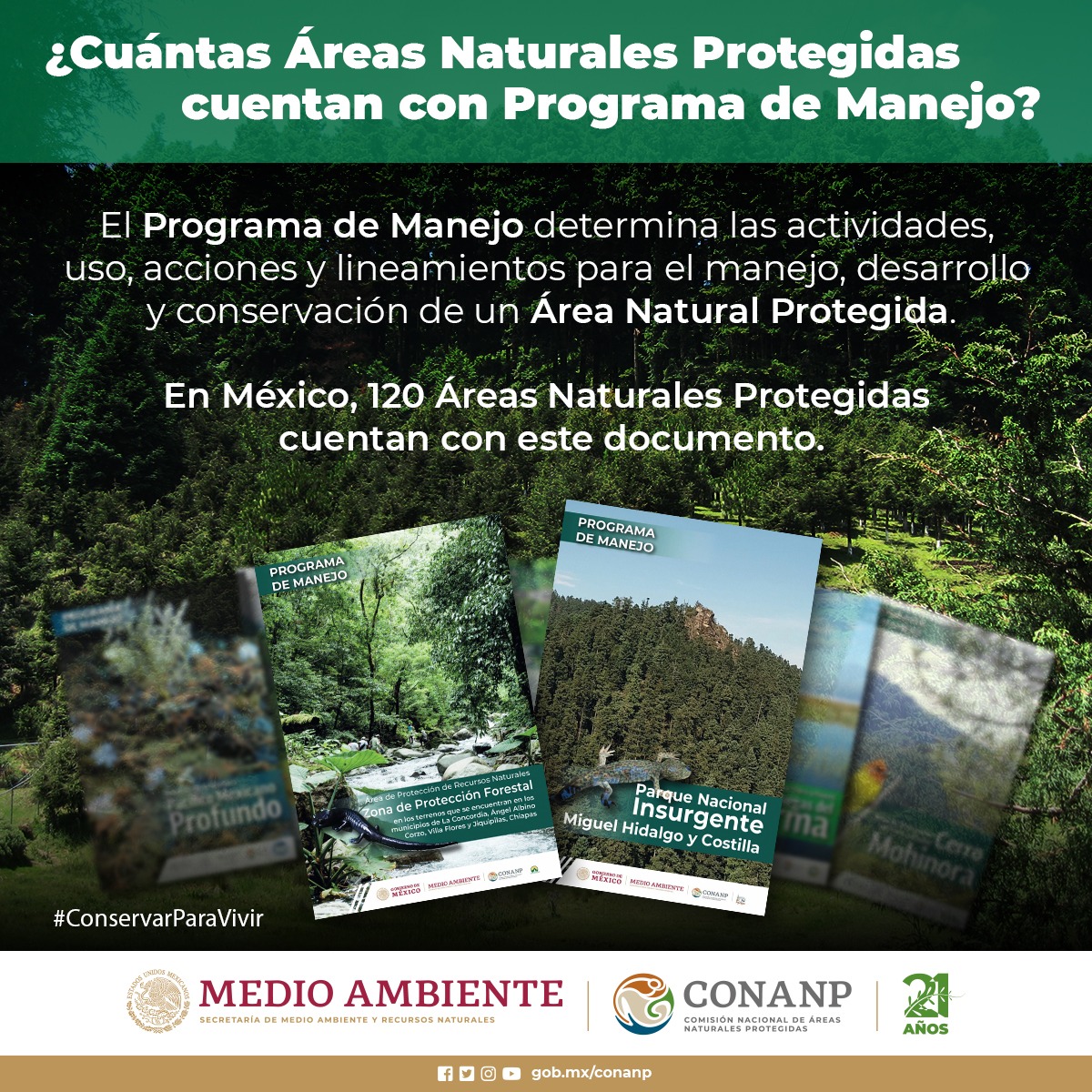 CONANP_mx's tweet photo. Los #ProgramasDeManejo son instrumentos indispensables para el manejo de las #ÁreasNaturalesProtegidas. 🍃

En ellos encontramos información valiosa sobre la riqueza natural, servicios ambientales y qué actividades que se pueden realizar y cuáles no en estos espacios. 🌄🥾🏝️🌲🏜️ https://t.co/cmKNtzyivf